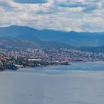 Rozi